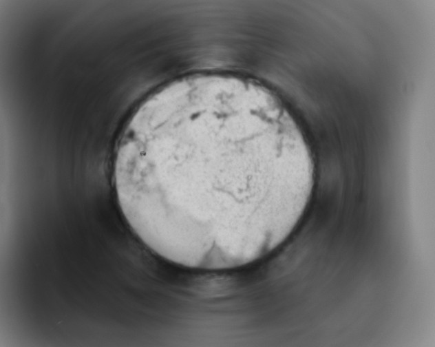 X0000093211314200710101319