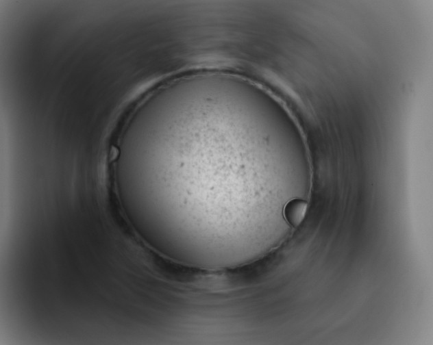 X0000093211315200710101319