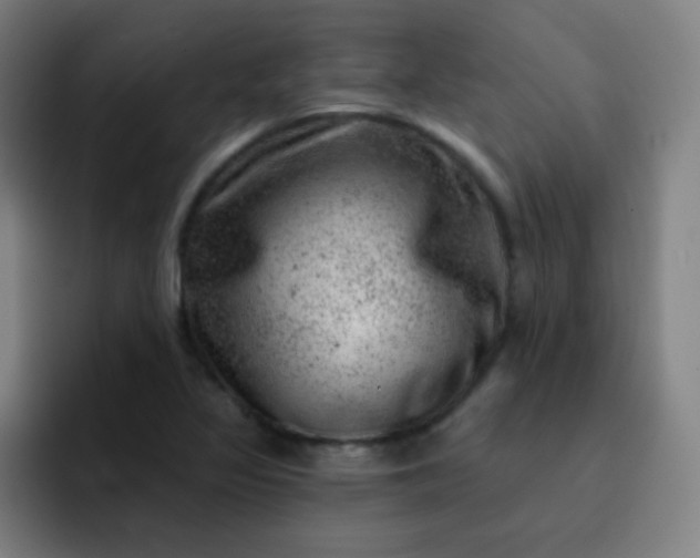 X0000093211317200710101319