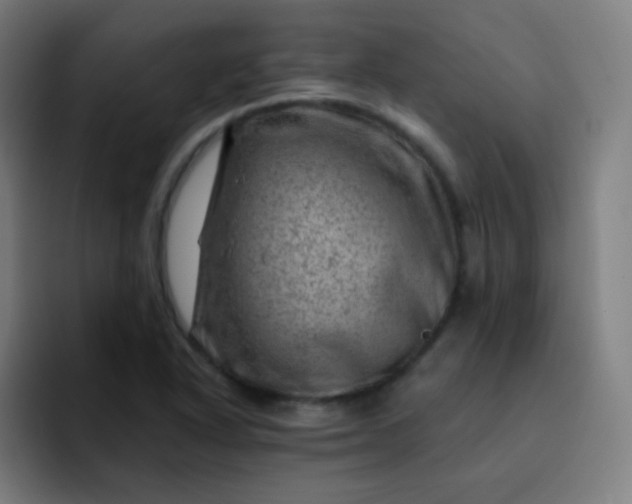 X0000093211318200710101319