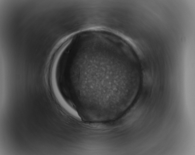 X0000093211319200710101319