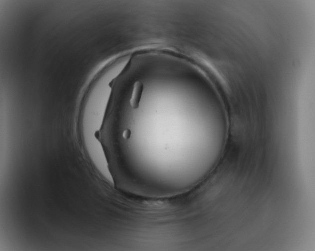 X0000093211320200710101319