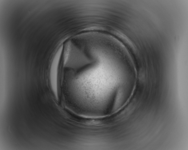 X0000093211321200710101319