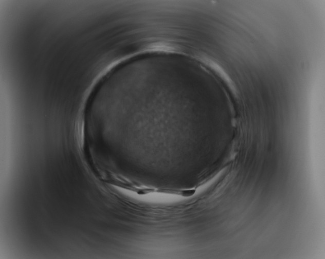 X0000093211323200710101319