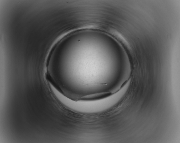 X0000093211324200710101319