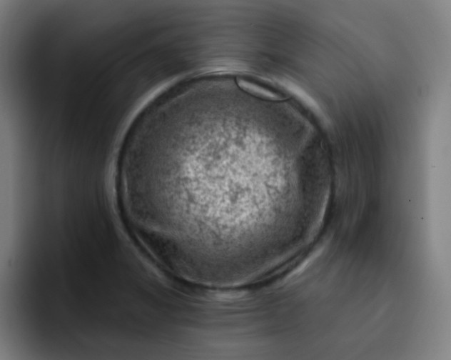 X0000093211325200710101319