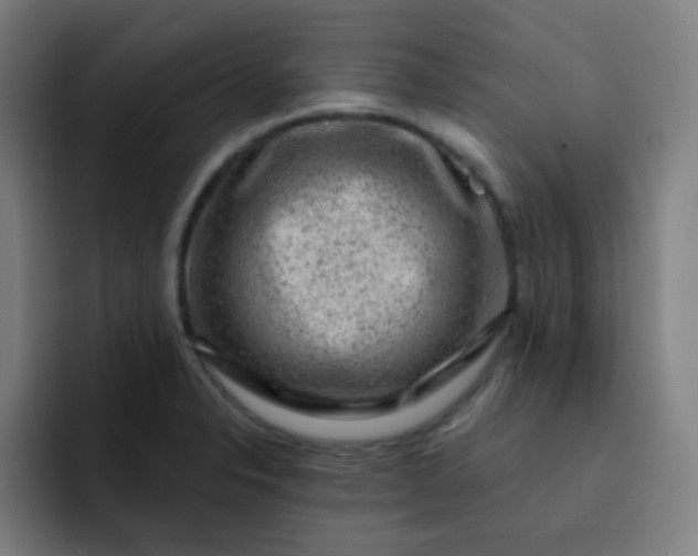 X0000093211326200710101319