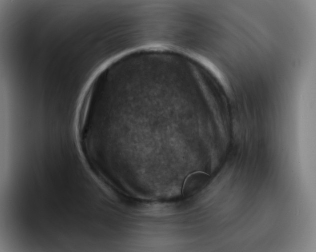 X0000093211327200710101319