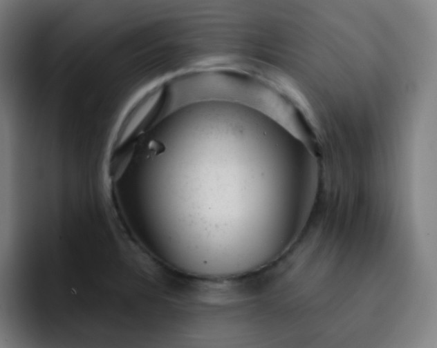 X0000093211328200710101319