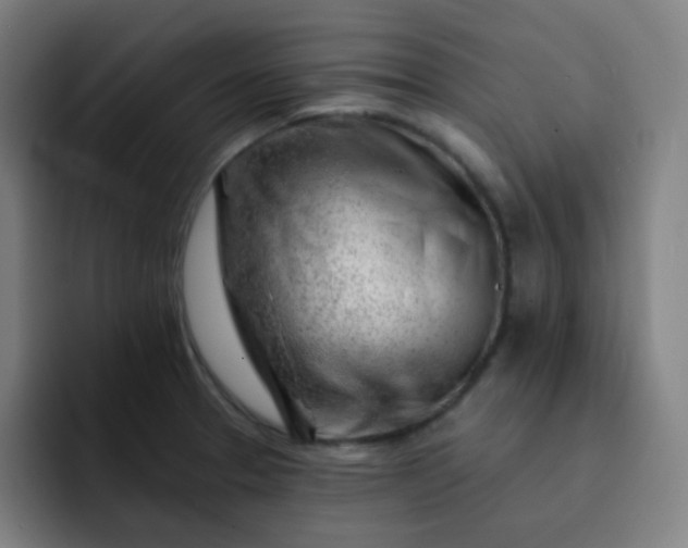 X0000093211329200710101319