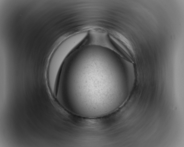 X0000093211330200710101319