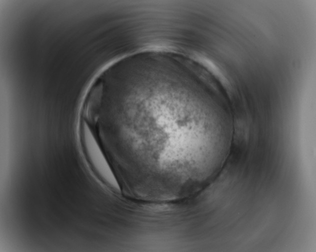 X0000093211331200710101319