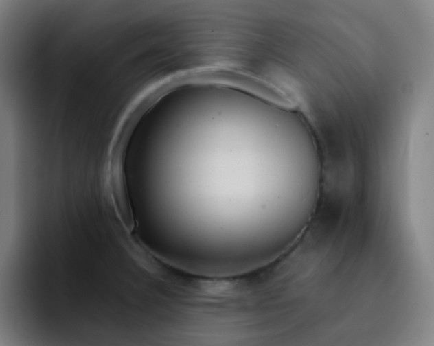 X0000093211332200710101319