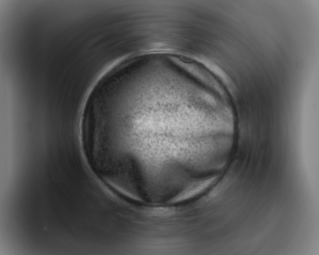 X0000093211333200710101319