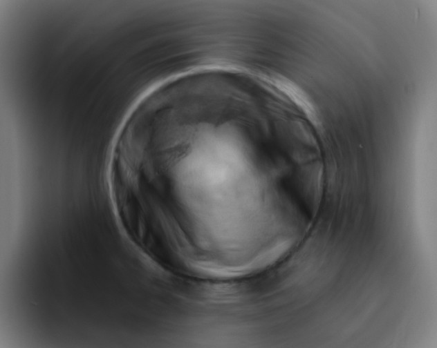 X0000093211334200710101319