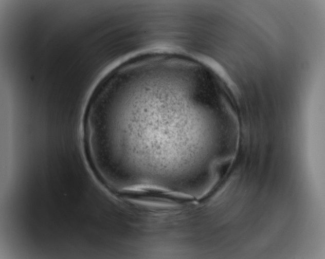 X0000093211335200710101319