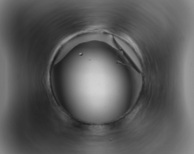 X0000093211336200710101319