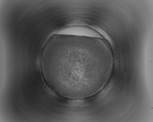 X0000093211337200710101319