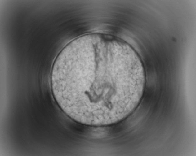 X0000093211338200710101319