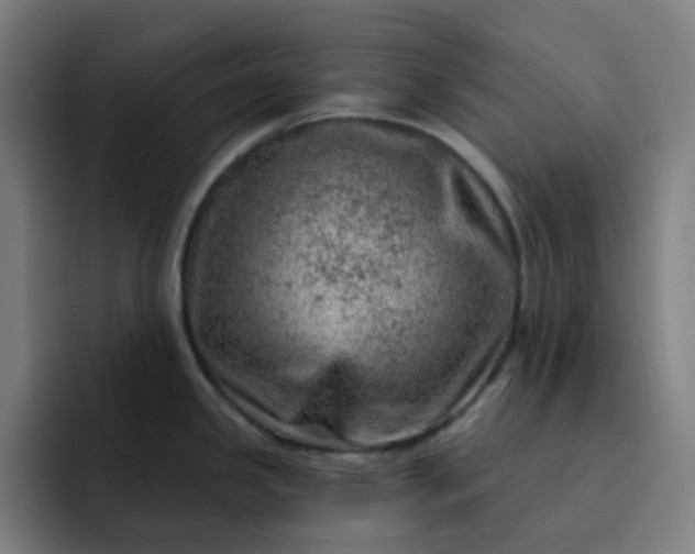 X0000093211341200710101319