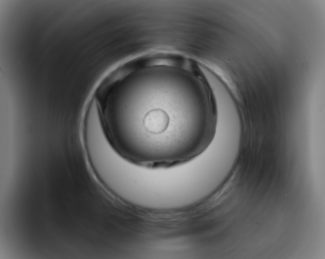 X0000093211342200710101319