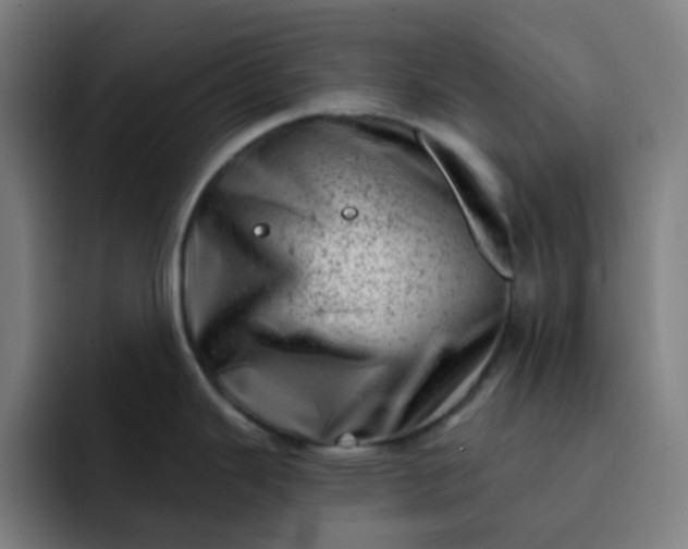 X0000093211343200710101319