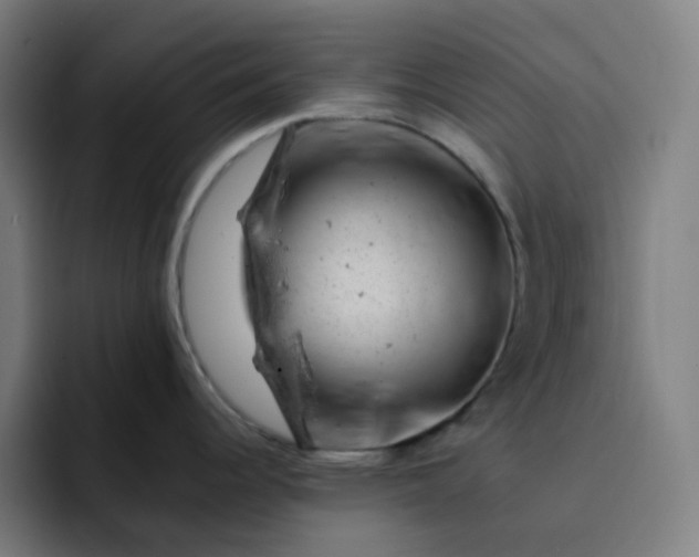 X0000093211344200710101319