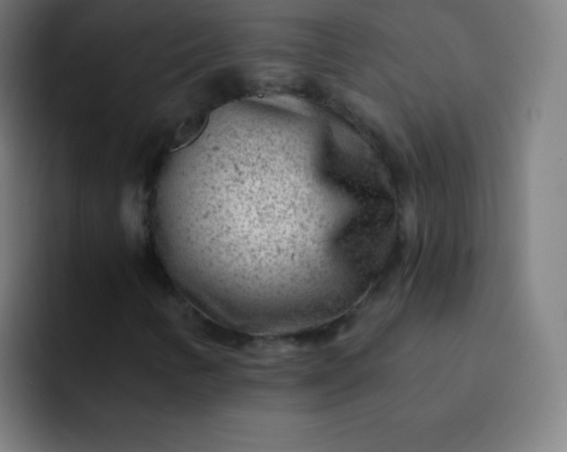 X0000093211346200710101319