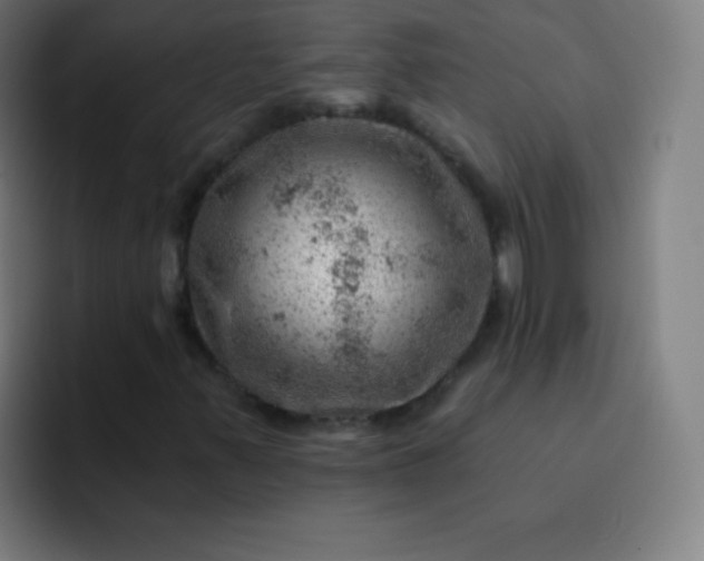 X0000093211347200710101319