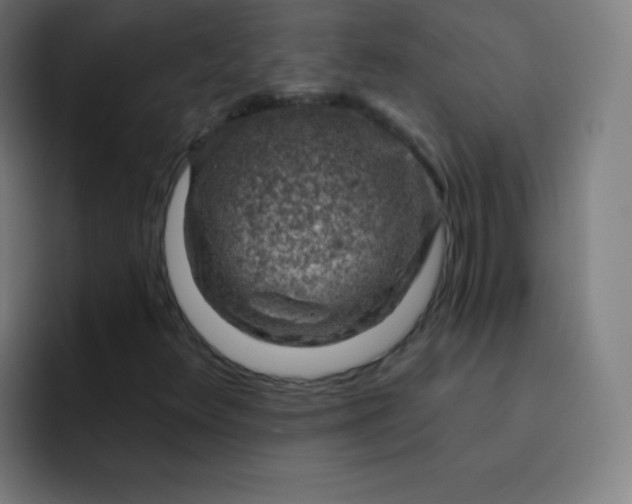 X0000093211348200710101319