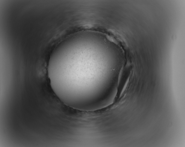 X0000093211349200710101319