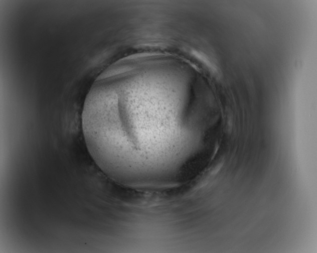 X0000093211350200710101319