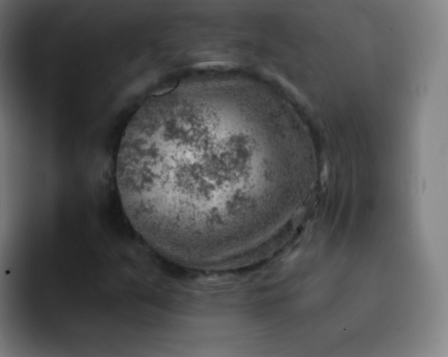 X0000093211351200710101319