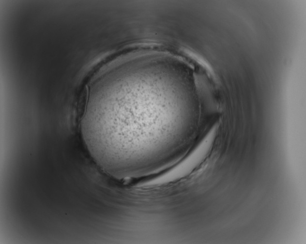 X0000093211352200710101319