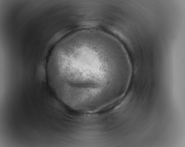 X0000093211354200710101319