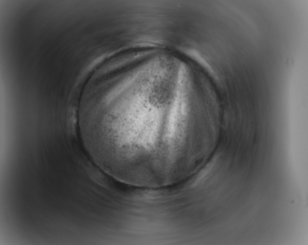 X0000093211355200710101319