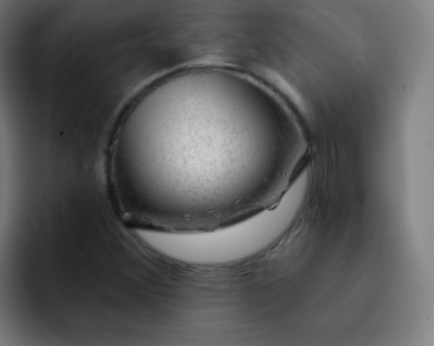 X0000093211356200710101319