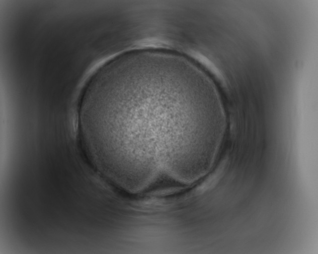 X0000093211358200710101319