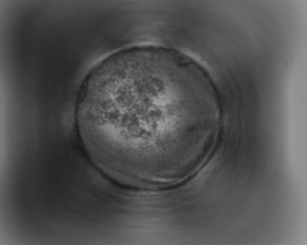 X0000093211359200710101319