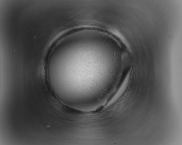 X0000093211360200710101319