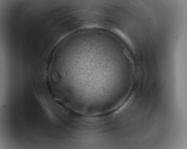 X0000093211361200710101319