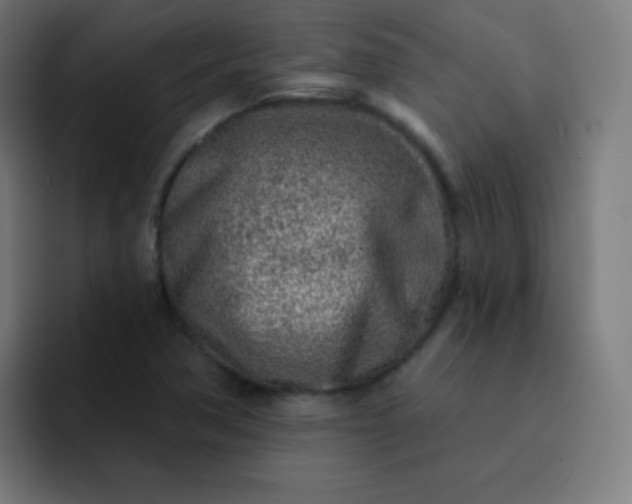 X0000093211362200710101319