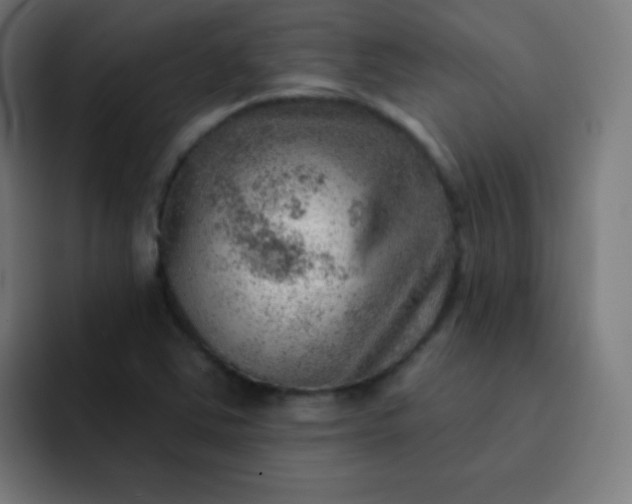 X0000093211363200710101319