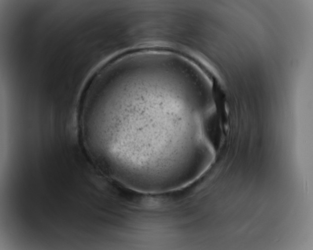 X0000093211364200710101319