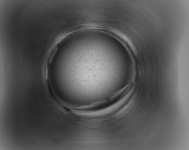 X0000093211365200710101319