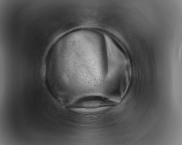 X0000093211366200710101318