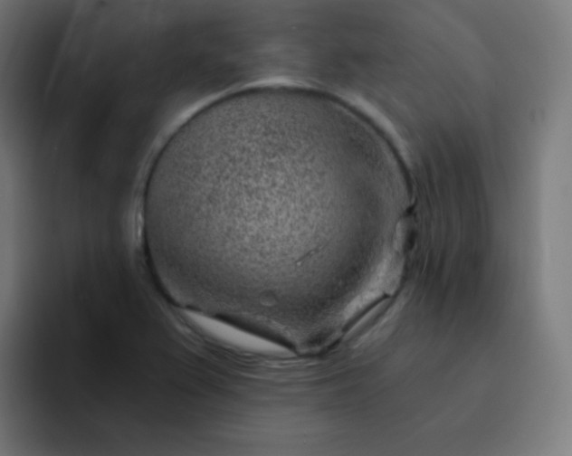 X0000093211367200710101318