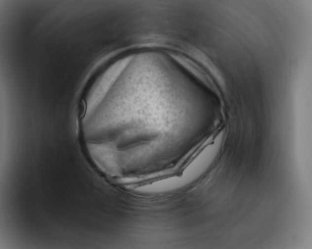 X0000093211368200710101318