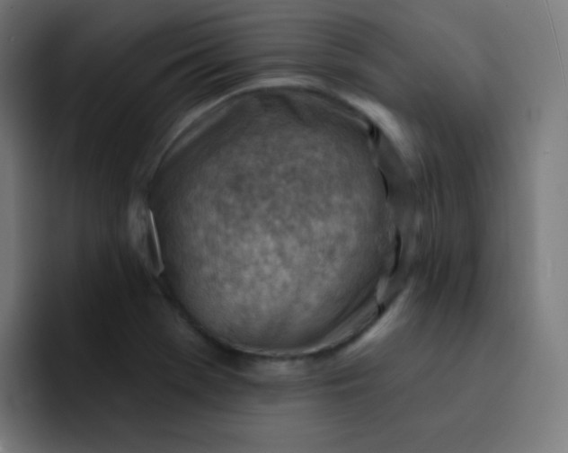 X0000093211369200710101318