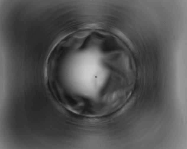 X0000093211370200710101318